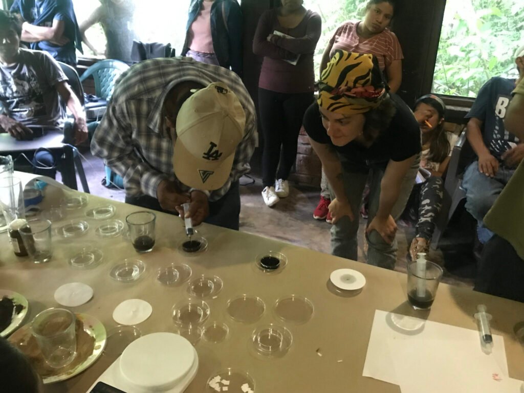 foto1
