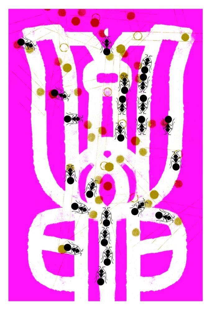 3
