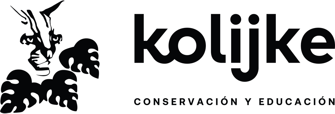 kolijke.org
