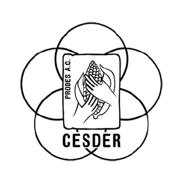 cesder
